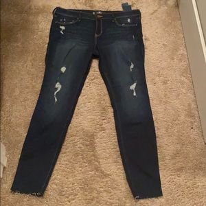 Hollister Jeans Low Rise size 15 Regular